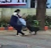 Thrissur woman grievously injured in stray dog attack
